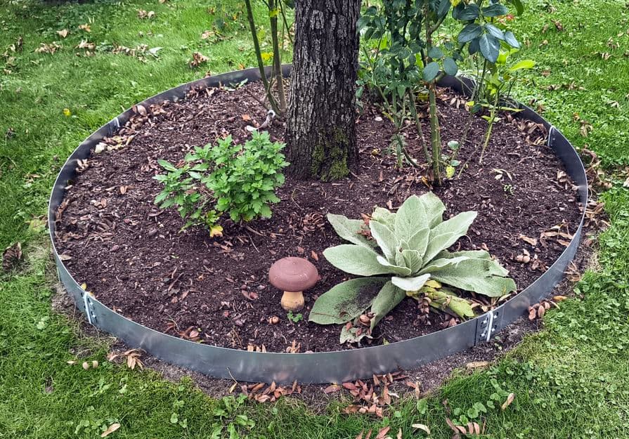 Ocelový obrubník kolem stromu (s mulčem)